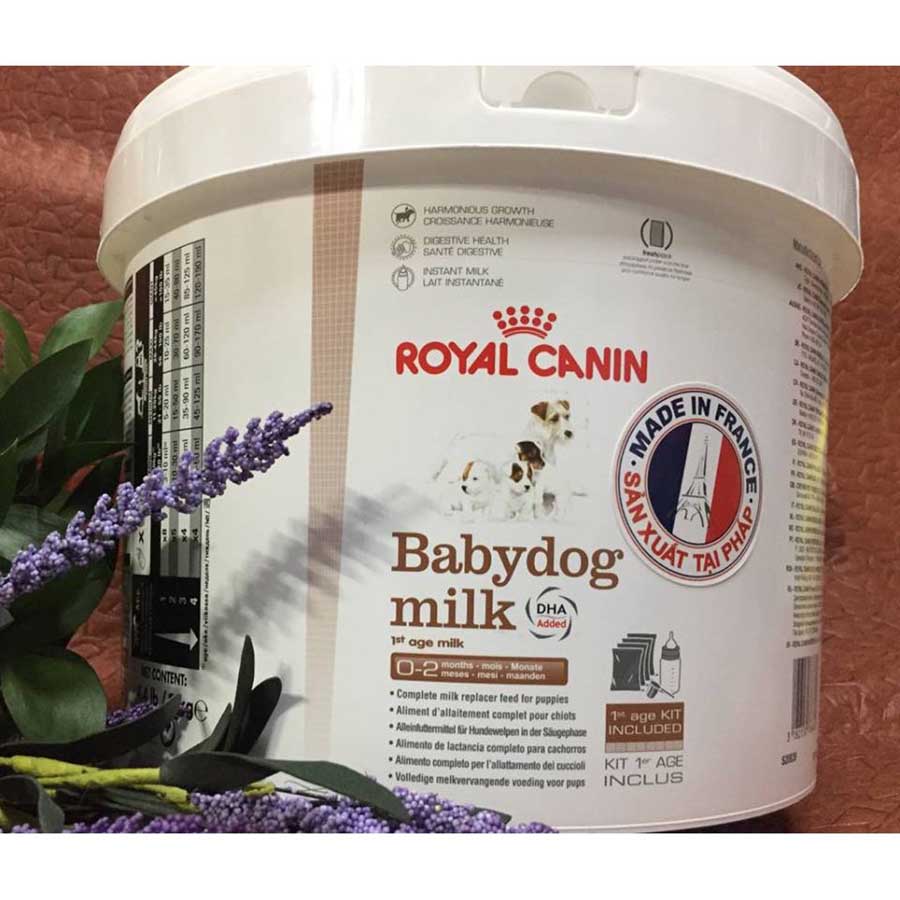 Sữa cho chó con 2 tháng tuổi Royal Canin