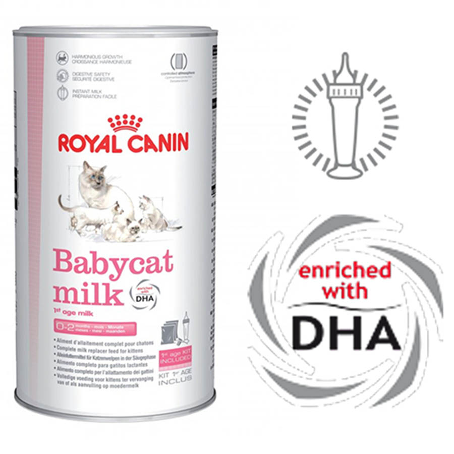 Sữa cho mèo con 2 tháng tuổi Royal Canin