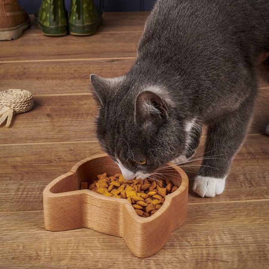 Mèo ăn hạt có bị thận không