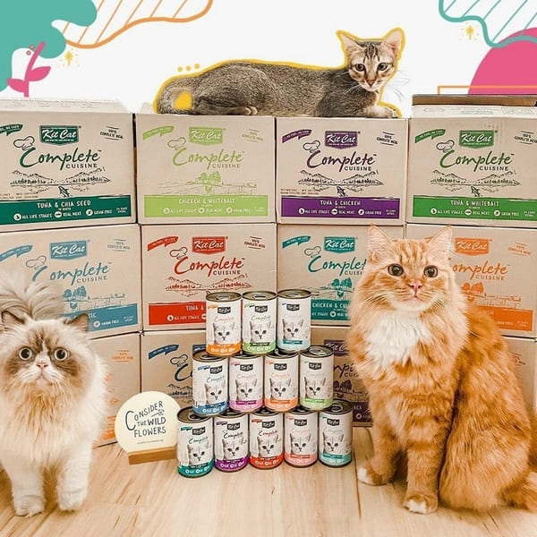 Pate Kit Cat Complete Cuisine vị cá ngừ