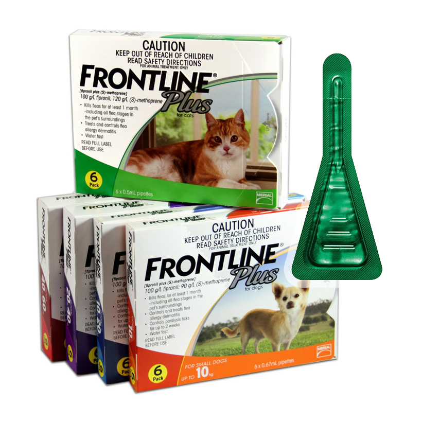 Liều dùng và phương thức hoạt động của thuốc trị rận cho mèo Frontline Plus For Cat