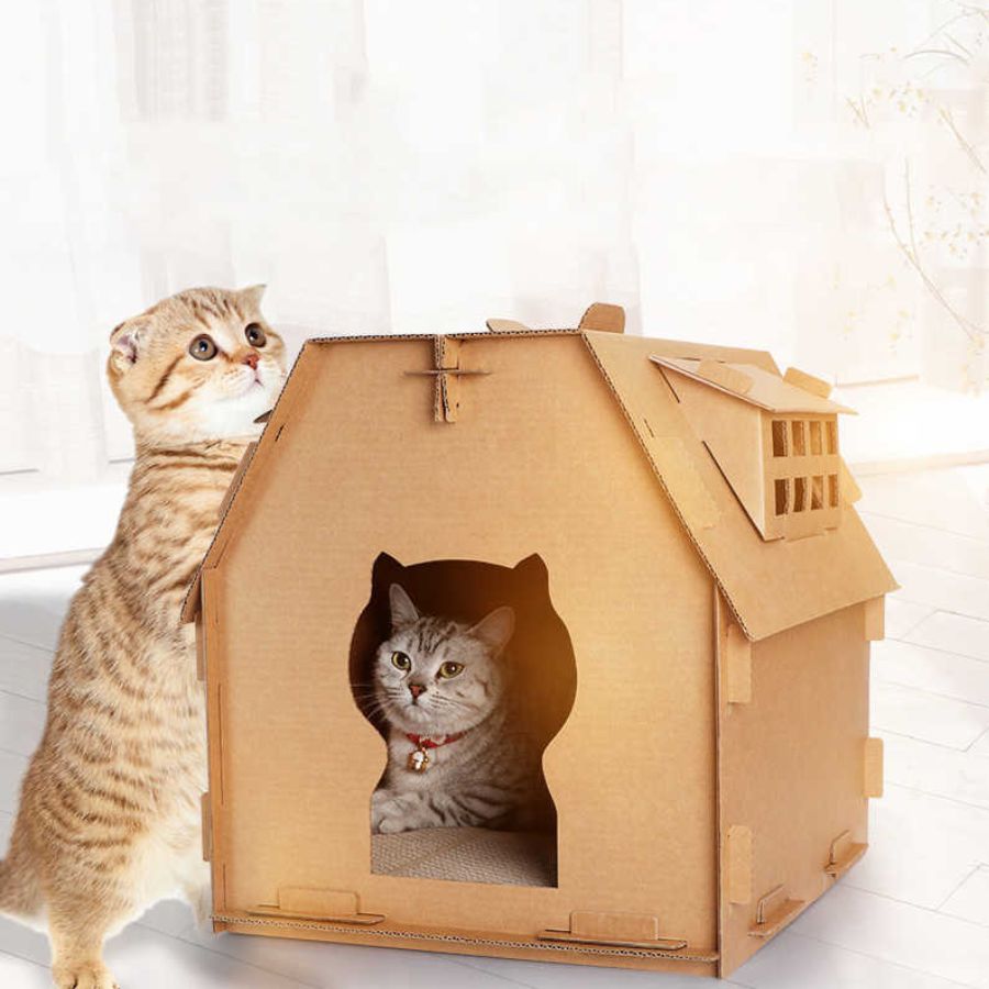 Nhà cho mèo