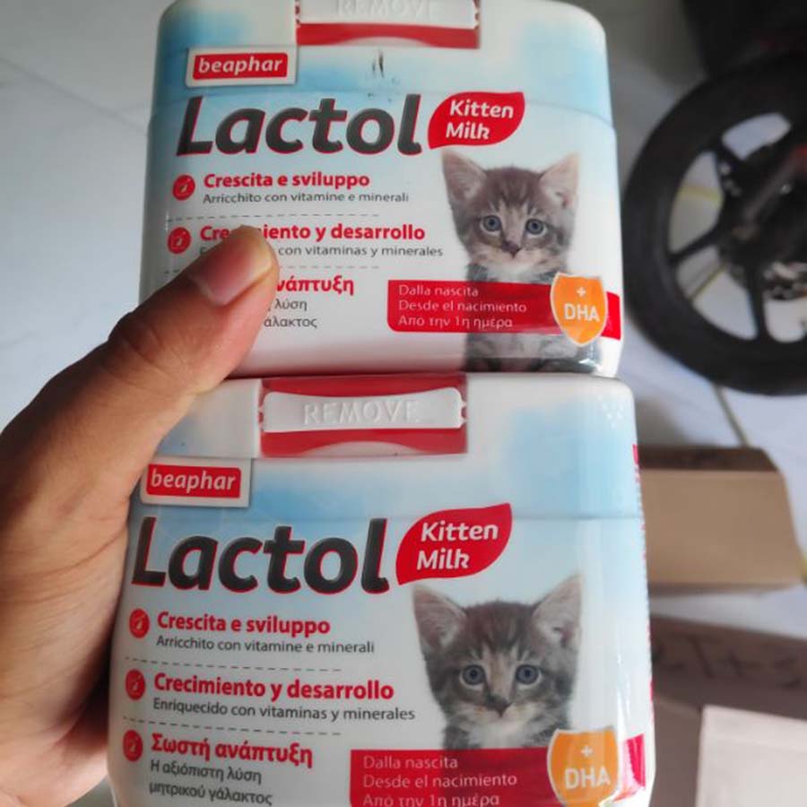 Sữa cho mèo con Beaphar Lactol Kitten Milk