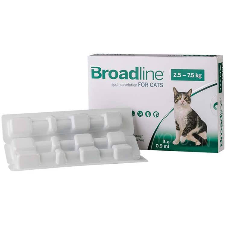 Lưu ý khi sử dụng thuốc trị rận cho mèo Broadline Solution For Cat