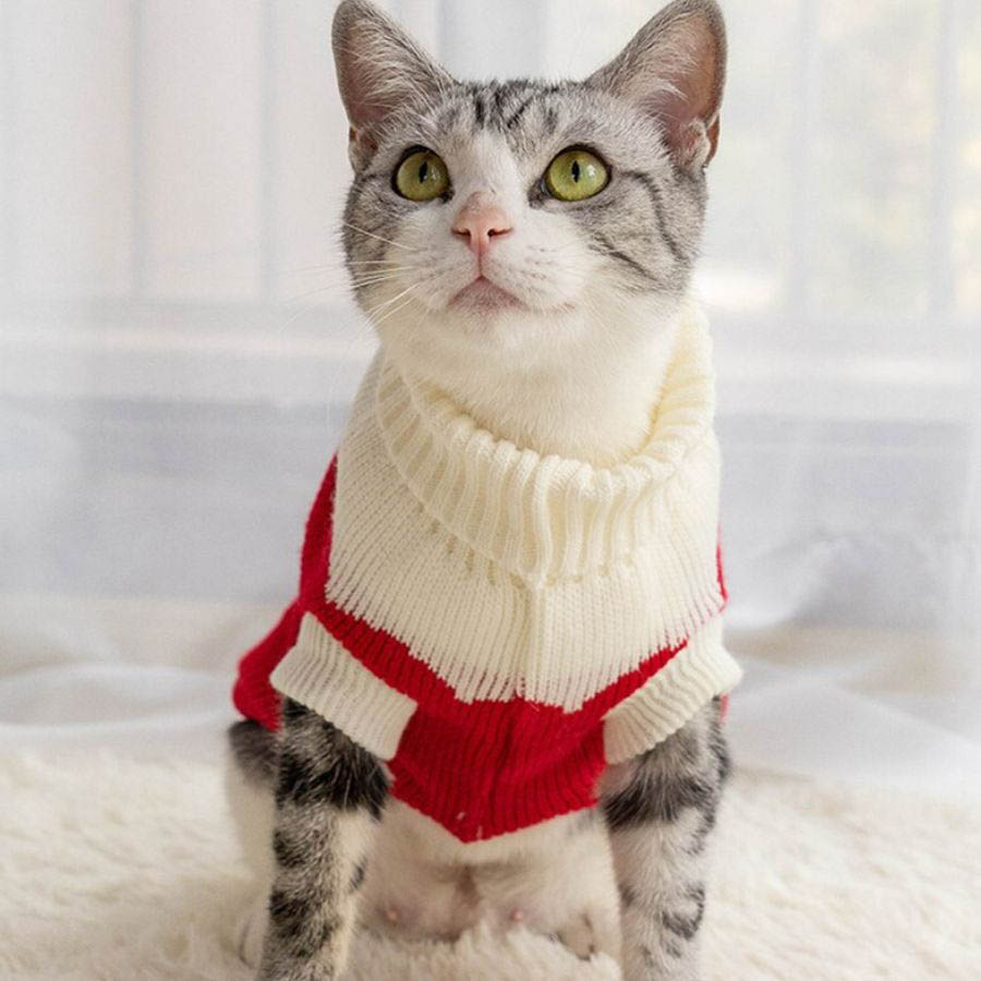 quần áo cho mèo