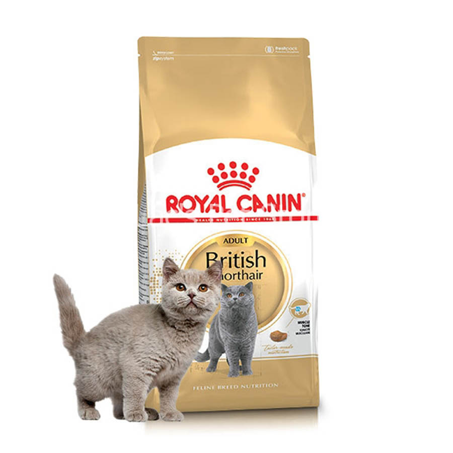 Hạt cho mèo Royal canin British Shorthair Adult