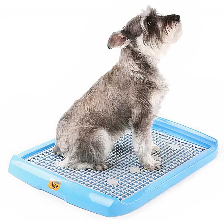Khay vệ sinh cho chó MAKAR Dog Toilet Trays Small